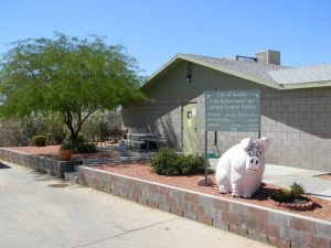 Animal Shelter