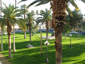 Rotary Park