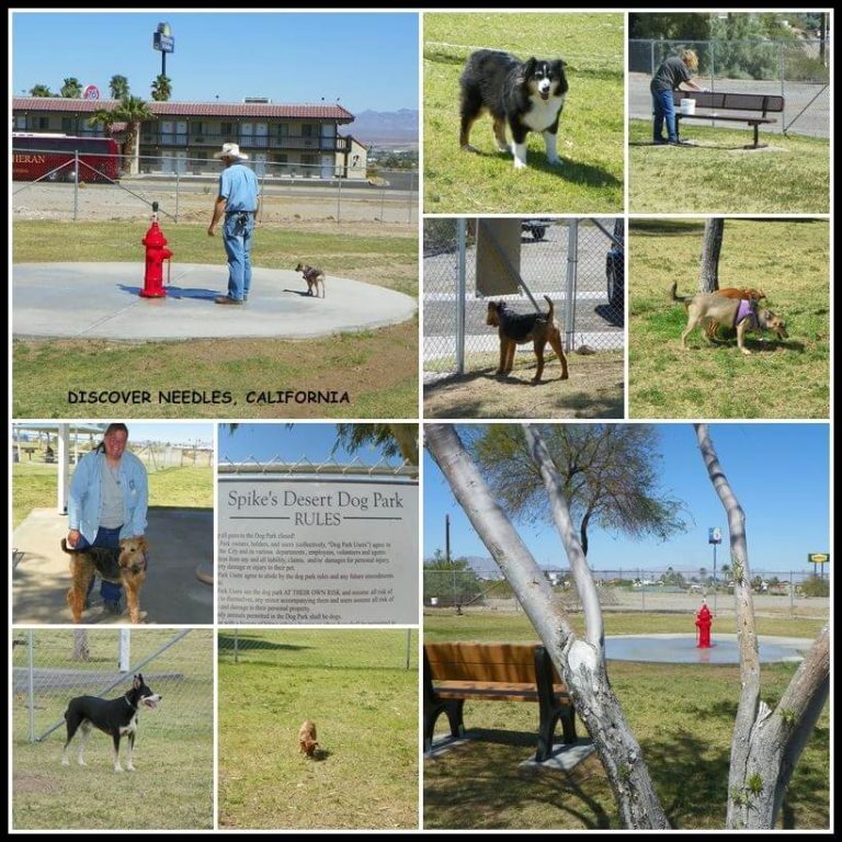 Spikes dog park