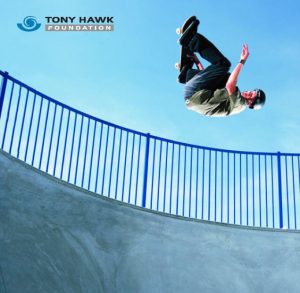 Tony Hawk Foundation Needles