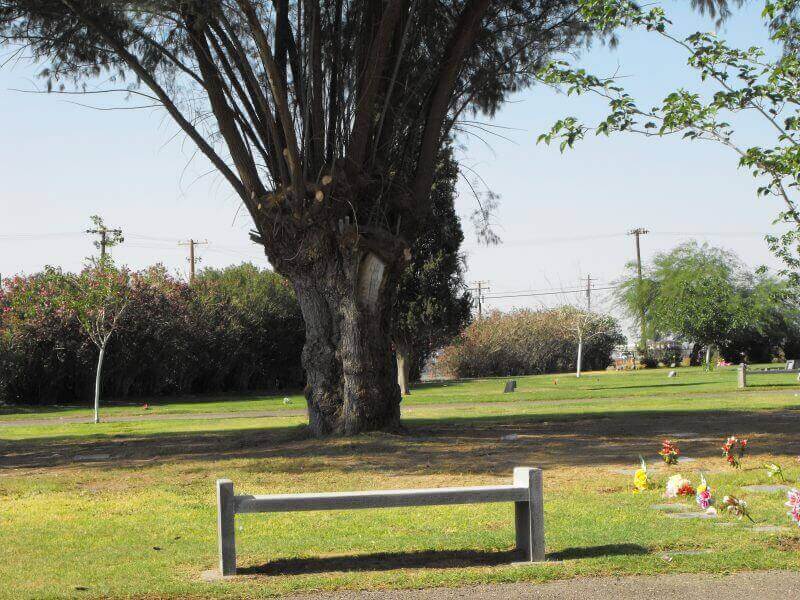 Cemetery