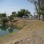 Needles marina