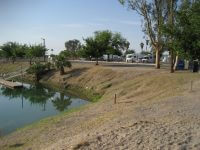 Needles marina
