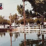 Needles marina 2