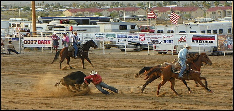 Rodeo