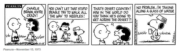 Snoopy to desert