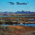 The needles
