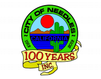 Needless 100 year logo